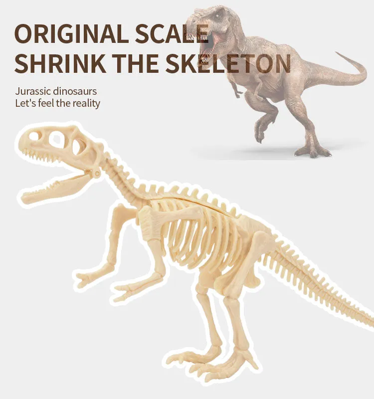 1pcs Children Fossil Excavation Dinosaur Egg Set Jurassic Animal DIY Dinosaur Skeleton Fossil Assembly Model Toy Set