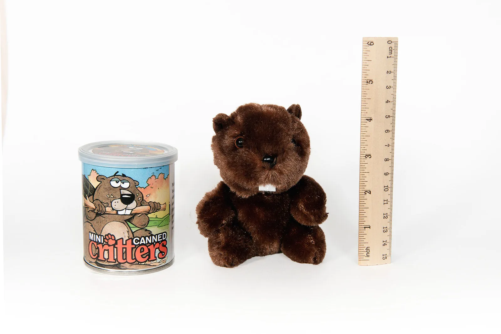 4" Mini Canned Beaver