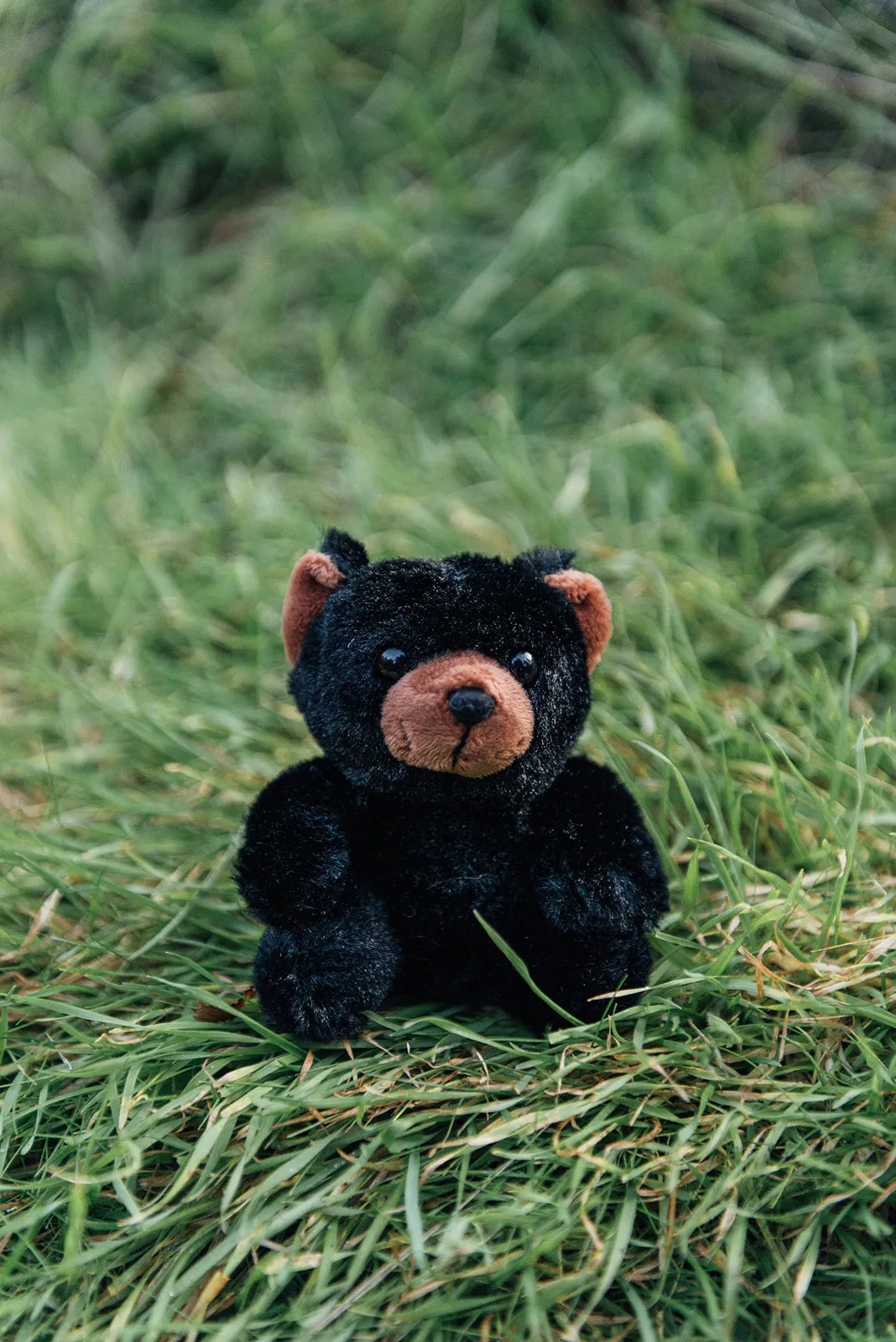 4" Mini Canned Black Bear