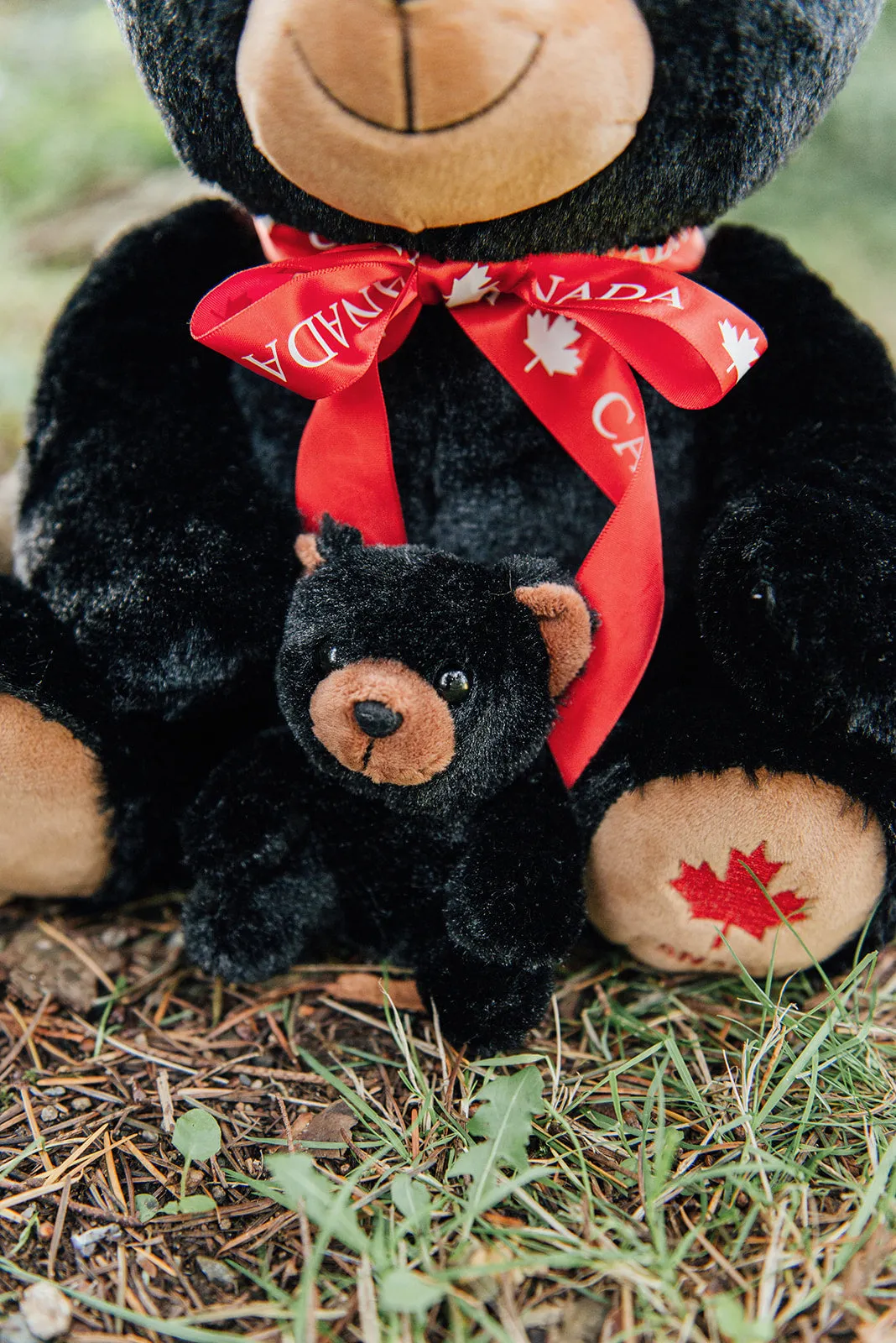 4" Mini Canned Black Bear