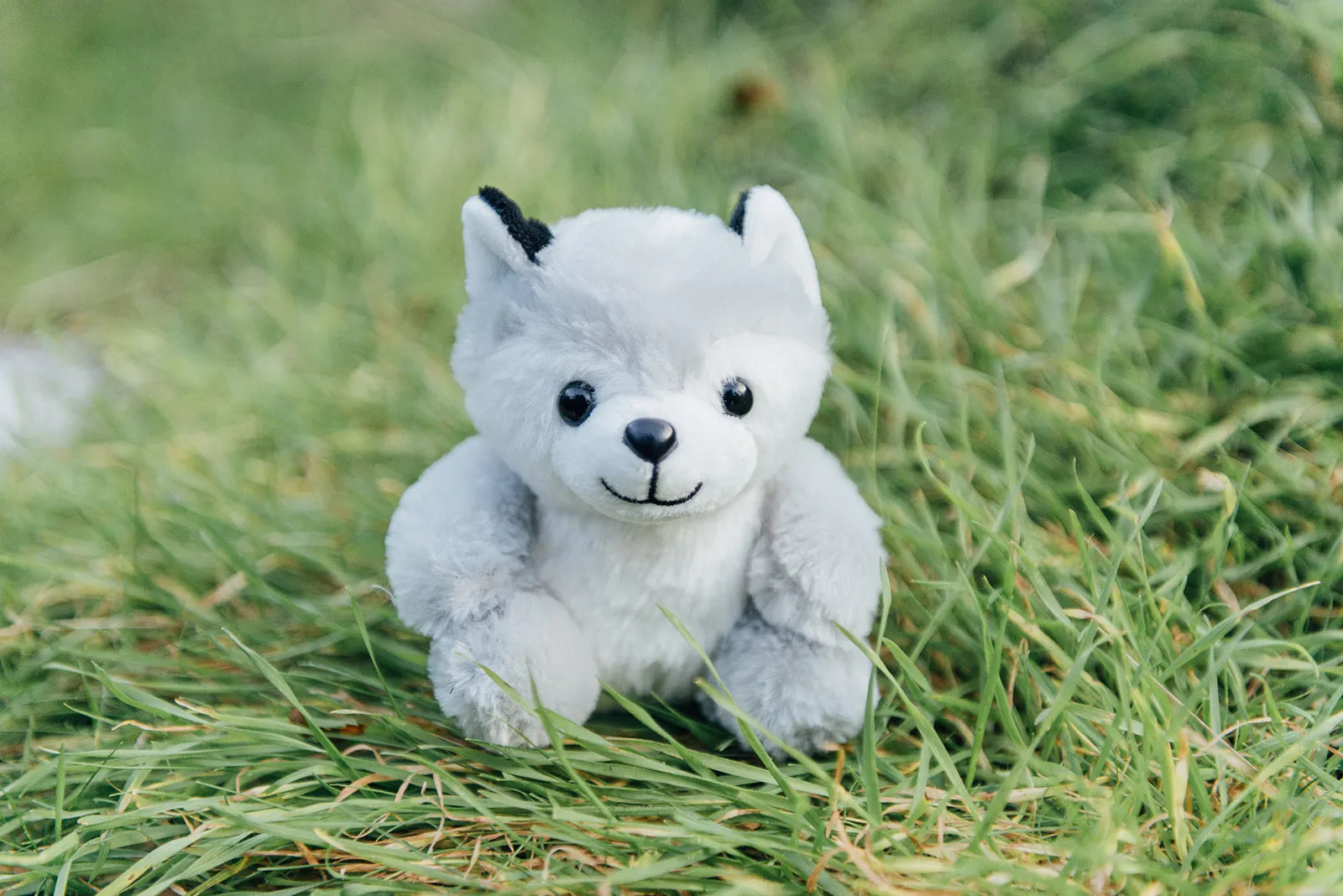 4" Mini Canned Husky