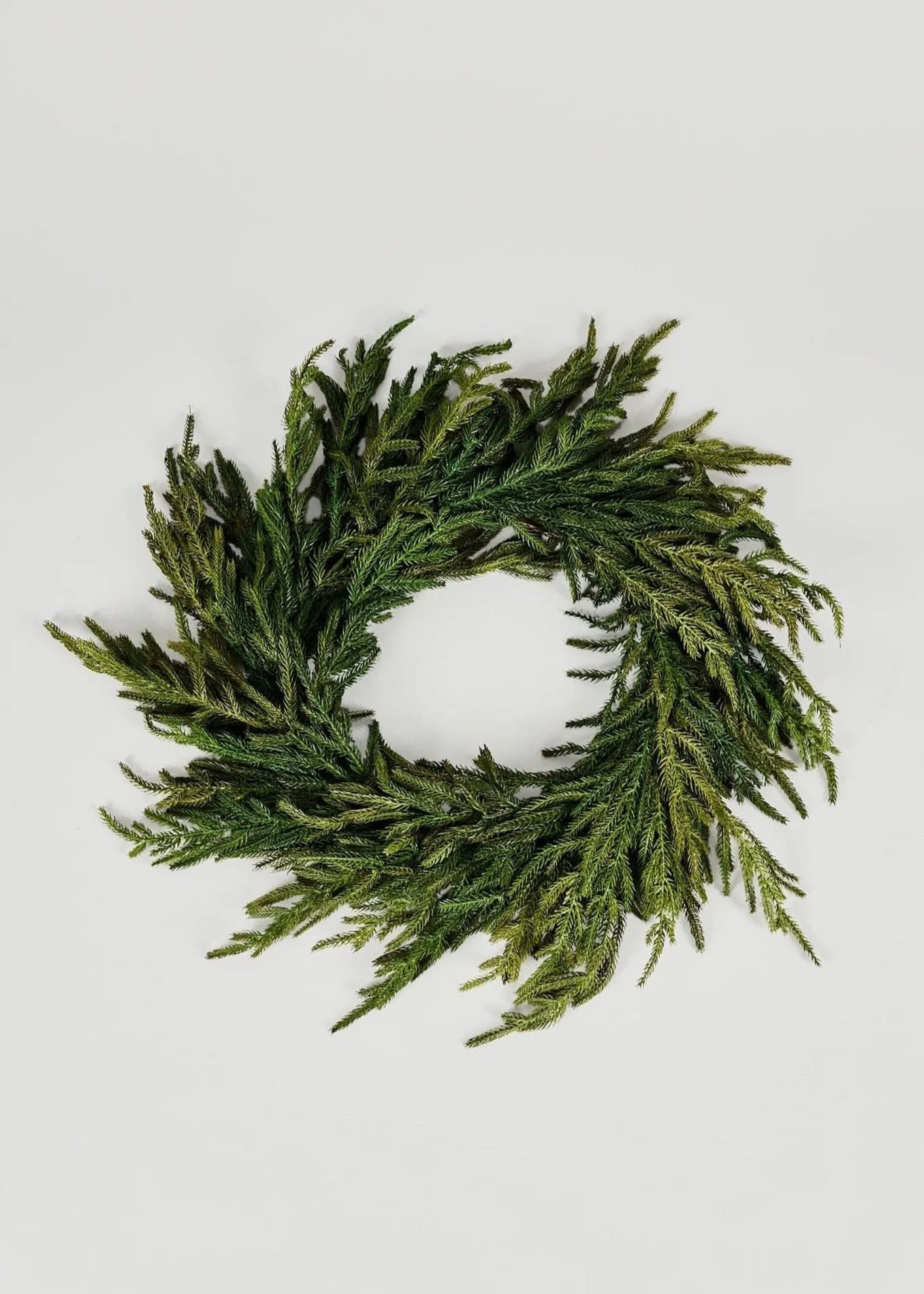 Afloral Real Touch Norfolk Pine Wreath - 24"