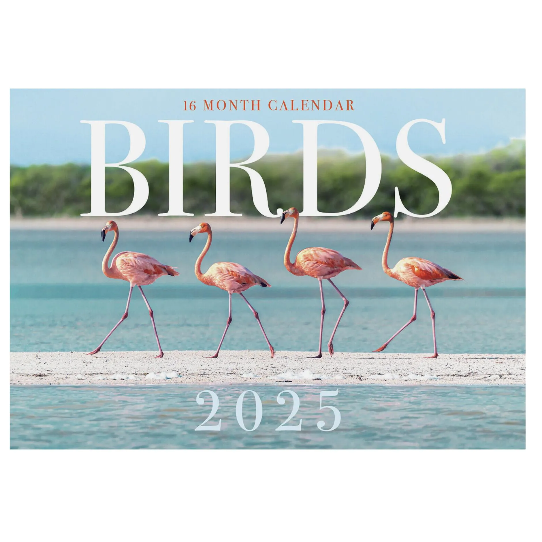 Calendar for Him