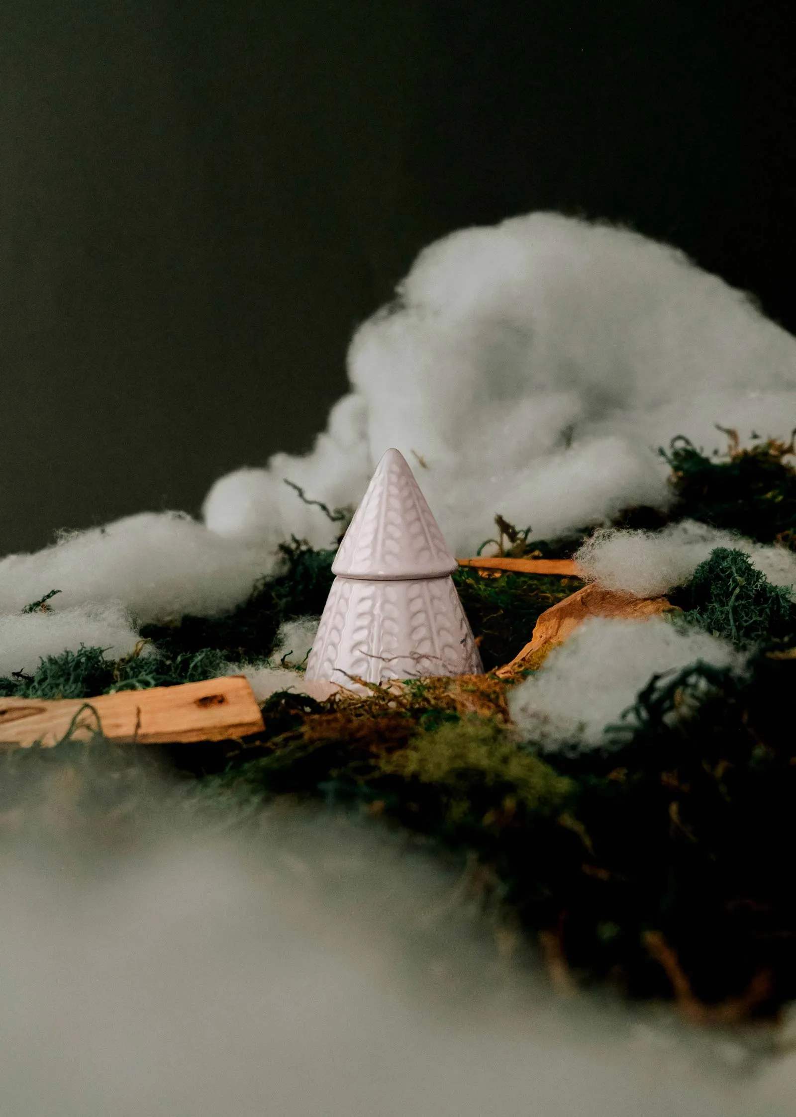 The Little Fir Tree