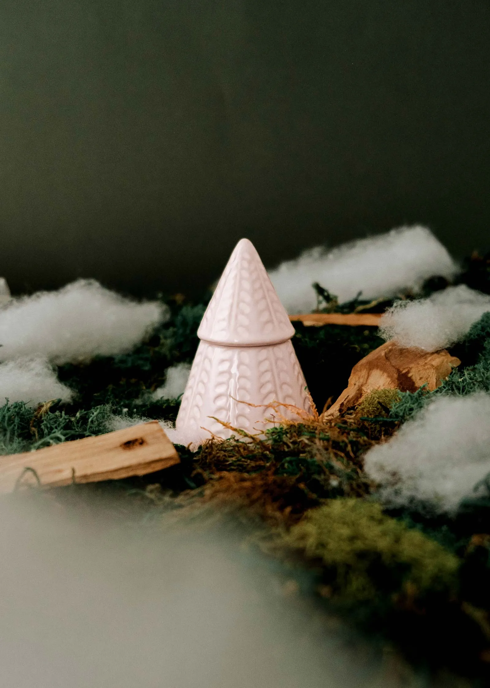 The Little Fir Tree