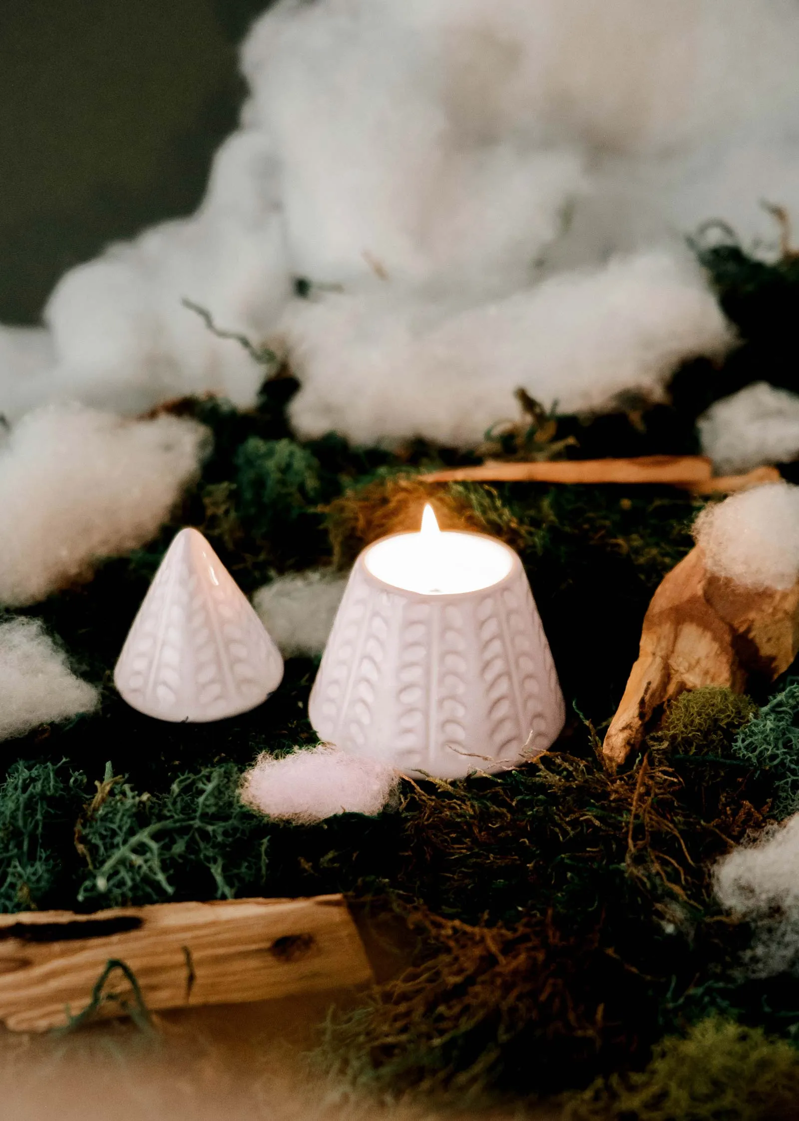The Little Fir Tree